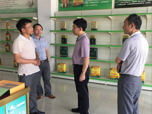 银河集团官网,油茶莳植生产加工销售,植物油莳植生产加工销售