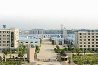 银河集团官网,油茶莳植生产加工销售,植物油莳植生产加工销售