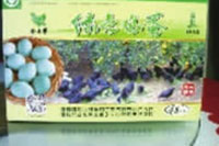 银河集团官网,油茶莳植生产加工销售,植物油莳植生产加工销售