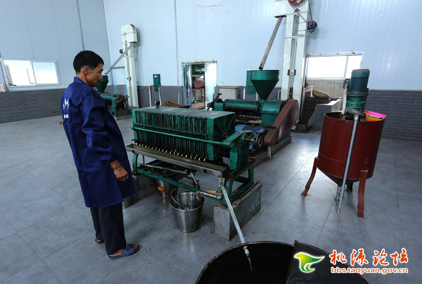 银河集团官网,油茶莳植生产加工销售,植物油莳植生产加工销售