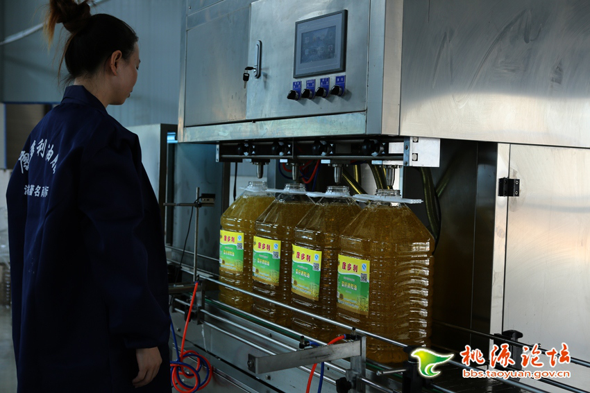 银河集团官网,油茶莳植生产加工销售,植物油莳植生产加工销售